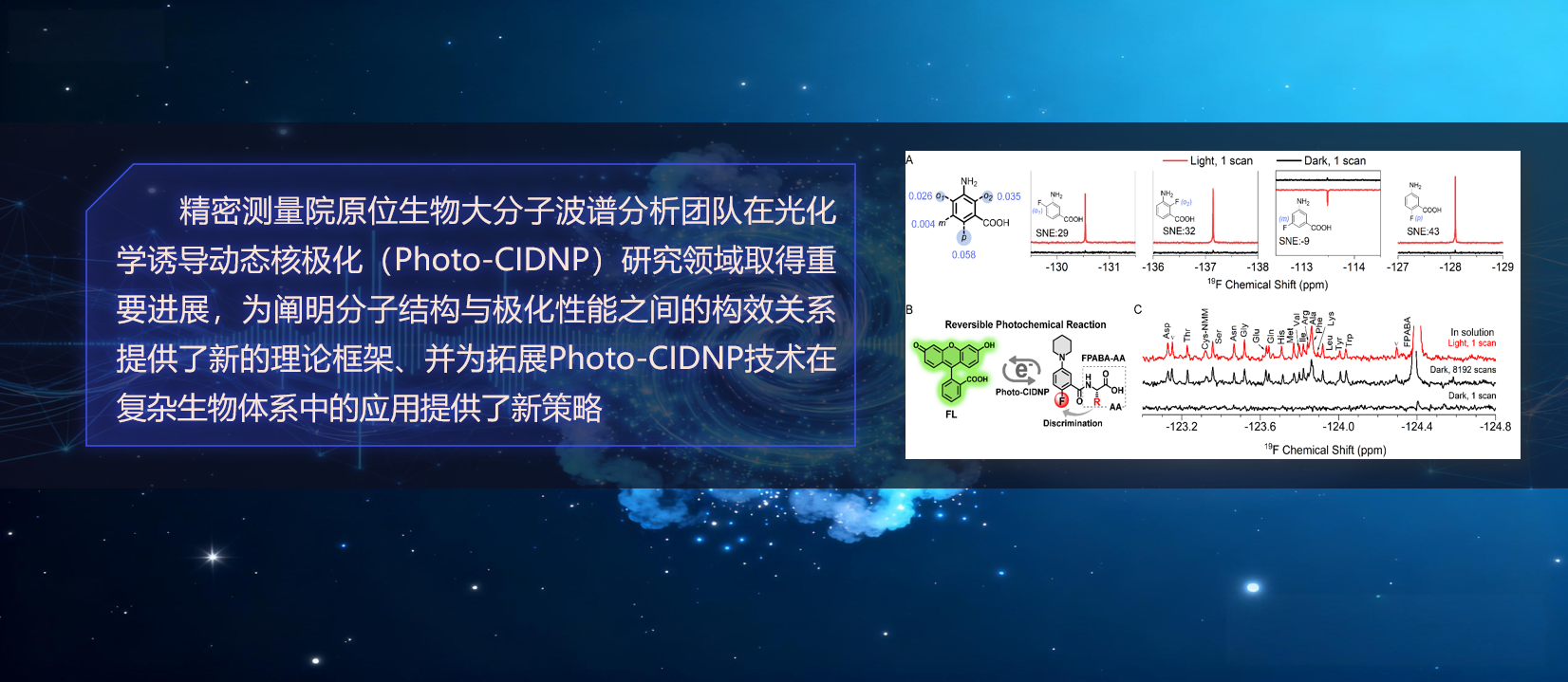 瓦力游戏官方在Photo-CIDNP高灵敏<sup>19</sup>F探针研究中取得重要进展
